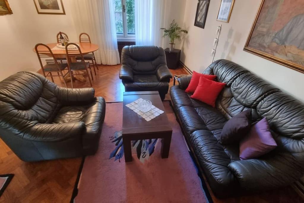 Olden House-Central Apartment-Parking Zagrzeb Zewnętrze zdjęcie